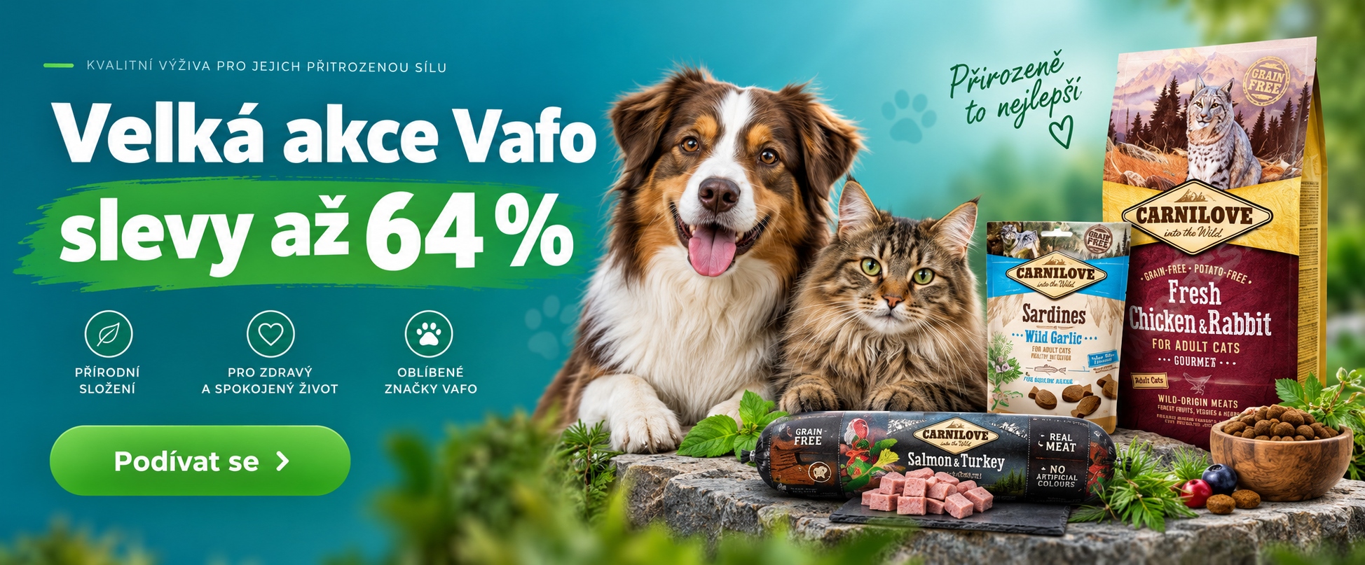 Akce Vafo