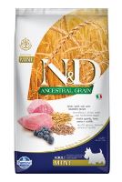 N&D Low Grain DOG Adult Mini Lamb & Blueberry 2,5kg N&D Low Grain DOG Adult Mini Lamb & Blueberry 2,5kg