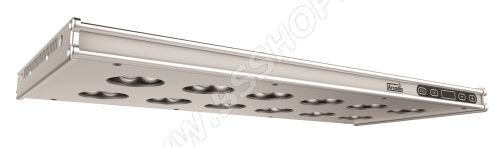 Arcadia Series 6 Freshwater