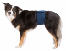Břišní pás na podložky pro psa samce - tmavě modrý