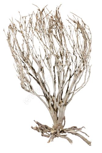 Lucky Reptile Savannah Bush cca 70cm