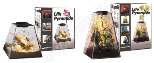 Lucky Reptile Life Pyramide 30x30x30cm - multicolor