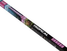 Arcadia Classica T8 LED Tropical (1)