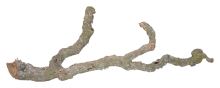 Lucky Reptile Tronchos-korkové větve 1kg