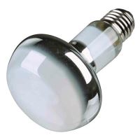 Basking Spot-Lamp 35W