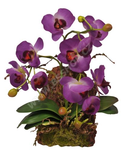 Lucky Reptile Závěsná orchidej - fialová cca 20x30cm
