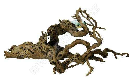 Lucky Reptile Grapevine Premium 100cm+