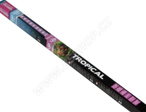 Arcadia Classica T8 LED Tropical