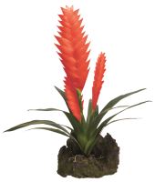 Lucky Reptile Bromelie 3 květy - červená cca 40cm (1)