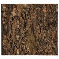 Pozadí REPTI PLANET korek přírodní 29x27,3x2cm (1)