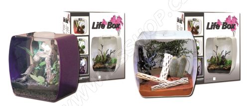 Lucky Reptile Life Box 30x18x30cm vybavený "Jungle"
