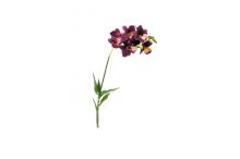 Lucky Reptile Orchidej Lila, cca 40cm (1)