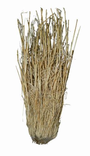 Lucky Reptile Grass Bushes 25-40cm