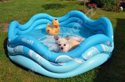 Alcott nafukovací bazén pro psy modrý