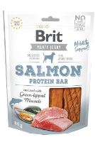 Brit Jerky Salmon Protein Bar 80g (1)