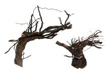 Lucky Reptile Grapevine kořen 40-50cm