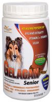 Gelacan Senior (1)