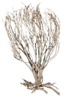 Lucky Reptile Savannah Bush cca 70cm (1)