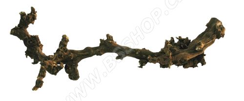 Lucky Reptile Grapevine tmavý S 30-45cm