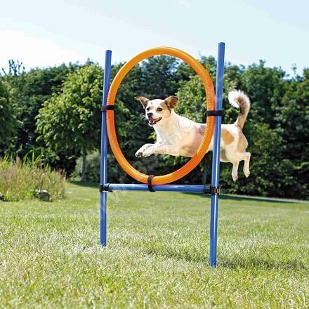 AGILITY proskakovací kruh 1 set Trixie