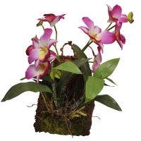 Lucky Reptile Závěsná orchidej - purpurová cca 20x30cm (1)
