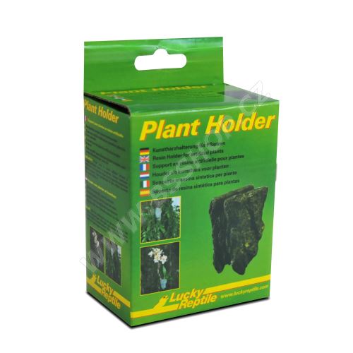 Lucky Reptile Plant Holder