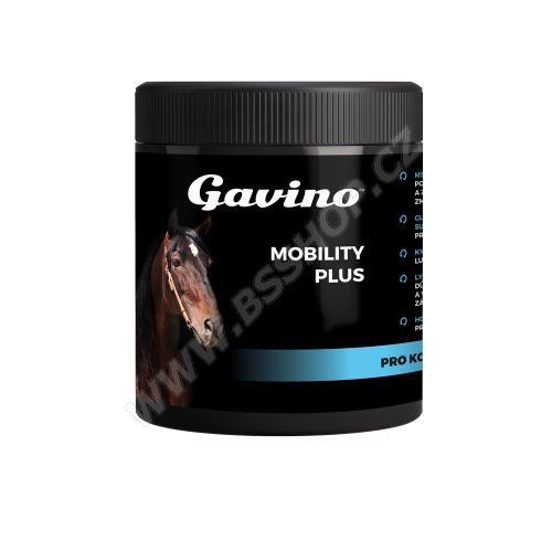 Gavino Mobility Plus 700g