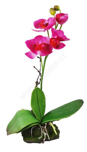 Lucky Reptile Orchidej - růžová cca 30cm