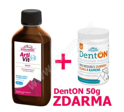 Artivit sirup 200ml + DentOn 50g