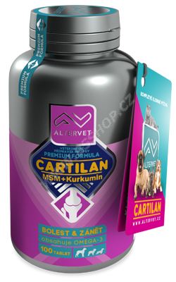 Cartilan MSM+Kurkumin 100tbl