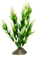 Lucky Reptile Borneo Grass, bílé květy cca 40cm (1)