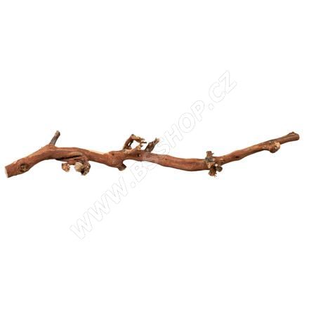 Přírodní dekorace do terária, větev z vinné révy L 40-60cm