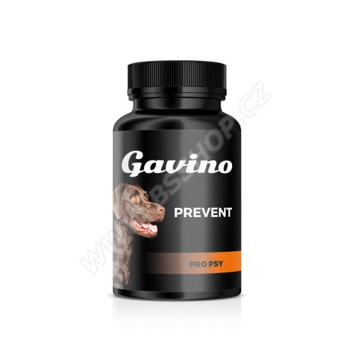 Gavino PREVENT 120 kapslí