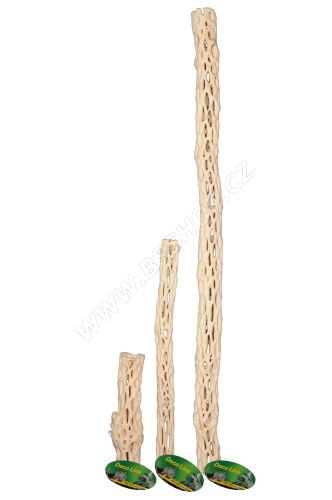 Lucky Reptile Cactus Wood - malý cca 20cm