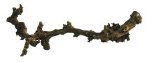 Lucky Reptile Grapevine tmavý XL 60-90cm