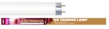 Arcadia T8 Red Arowana (2)