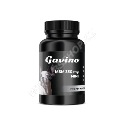 Gavino MSM 350mg MINI 120 kapslí