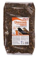 Krmivo pro Ptáky All OLANDESE měkkožravé s hmyzem1kg Krmivo pro Ptáky All OLANDESE měkkožravé s hmyzem1kg