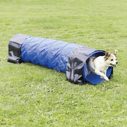 Agility tunel pro štěňata a malé psy Trixie