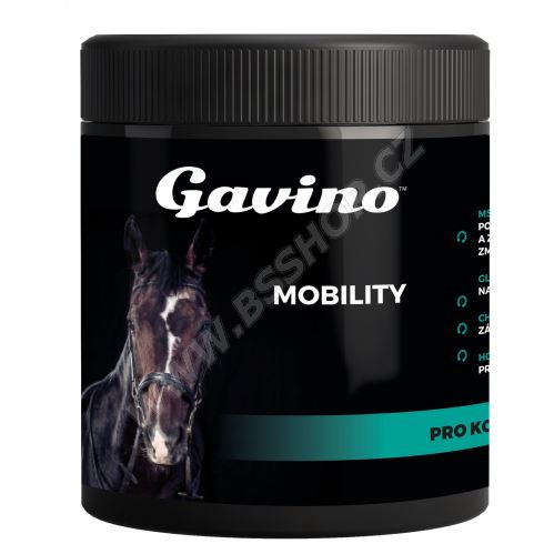 Gavino Mobility 700g