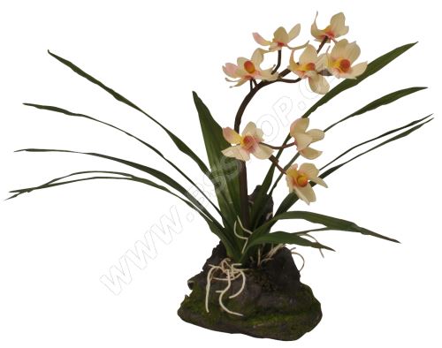Lucky Reptile Orchidej - bílá cca 23cm
