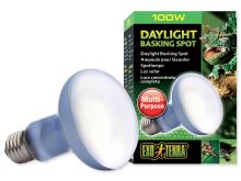 Žárovka EXO TERRA Daylight Basking Spot 100W (1)