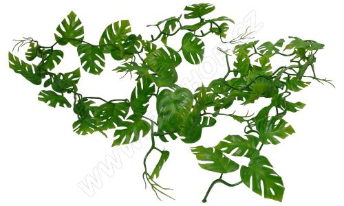 Lucky Reptile Pothos Vine, cca 200cm