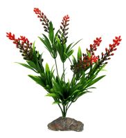 Lucky Reptile Borneo Grass, červený květ cca 30cm (1)