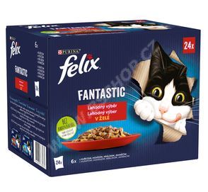 FELIX 12448009