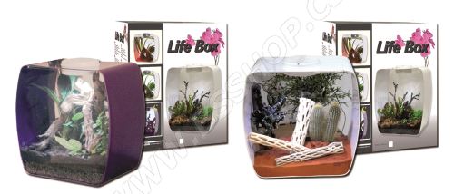 Lucky Reptile Life Box 30x18x30cm - fialový