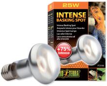 Žárovka EXO TERRA Intense Basking Spot 25W (1)