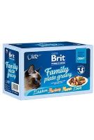 BRIT Premium Cat Delicate Fillets in Gravy Family Plate 1020g (12x85g) (1)