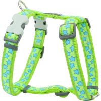 Postroj RD - Stars Turquoise (216868380)