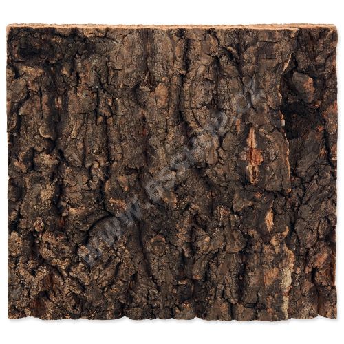 Pozadí REPTI PLANET korek přírodní 19x17,3x2cm (216869328)